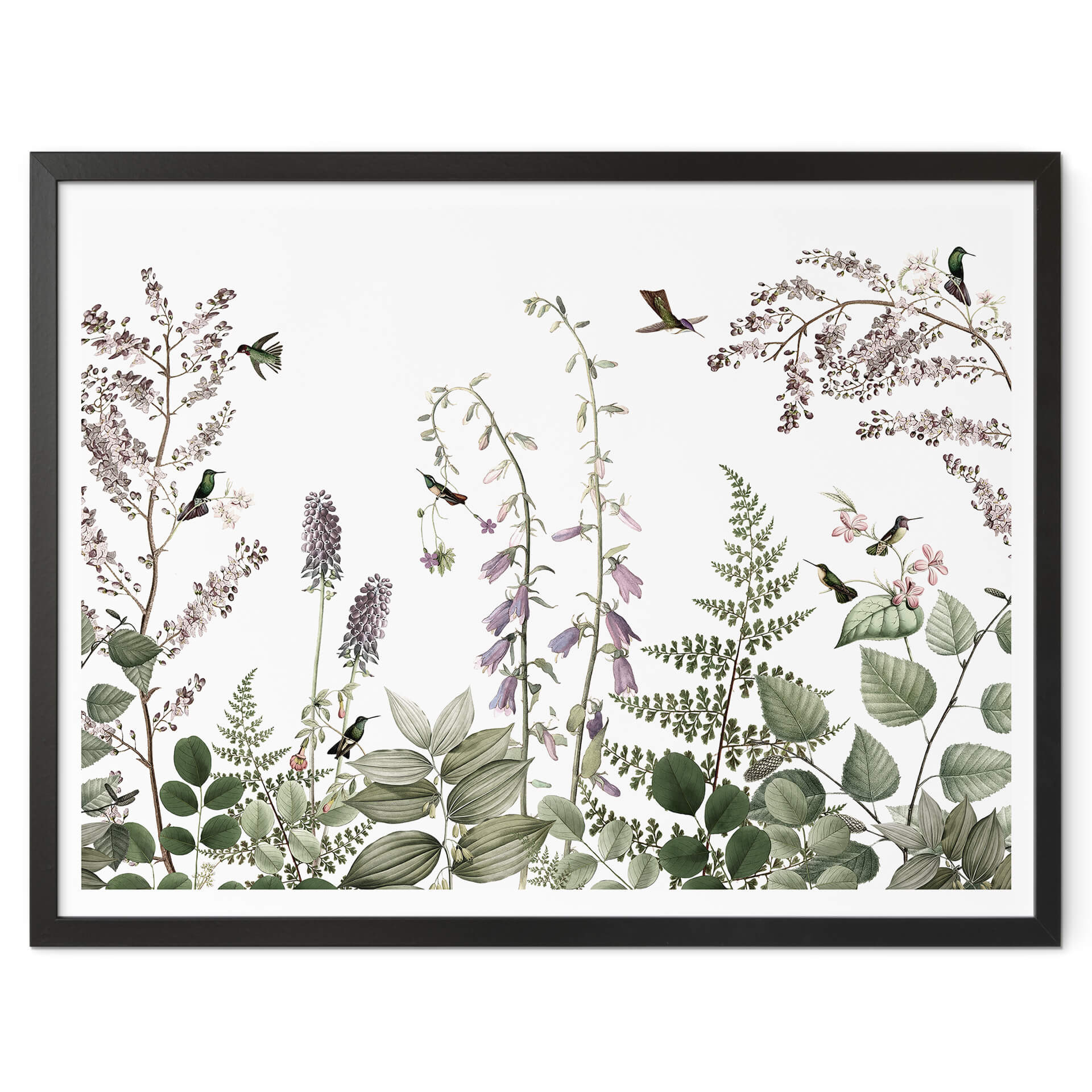 Plakat Sir Edward - Kolibry w ogrodzie