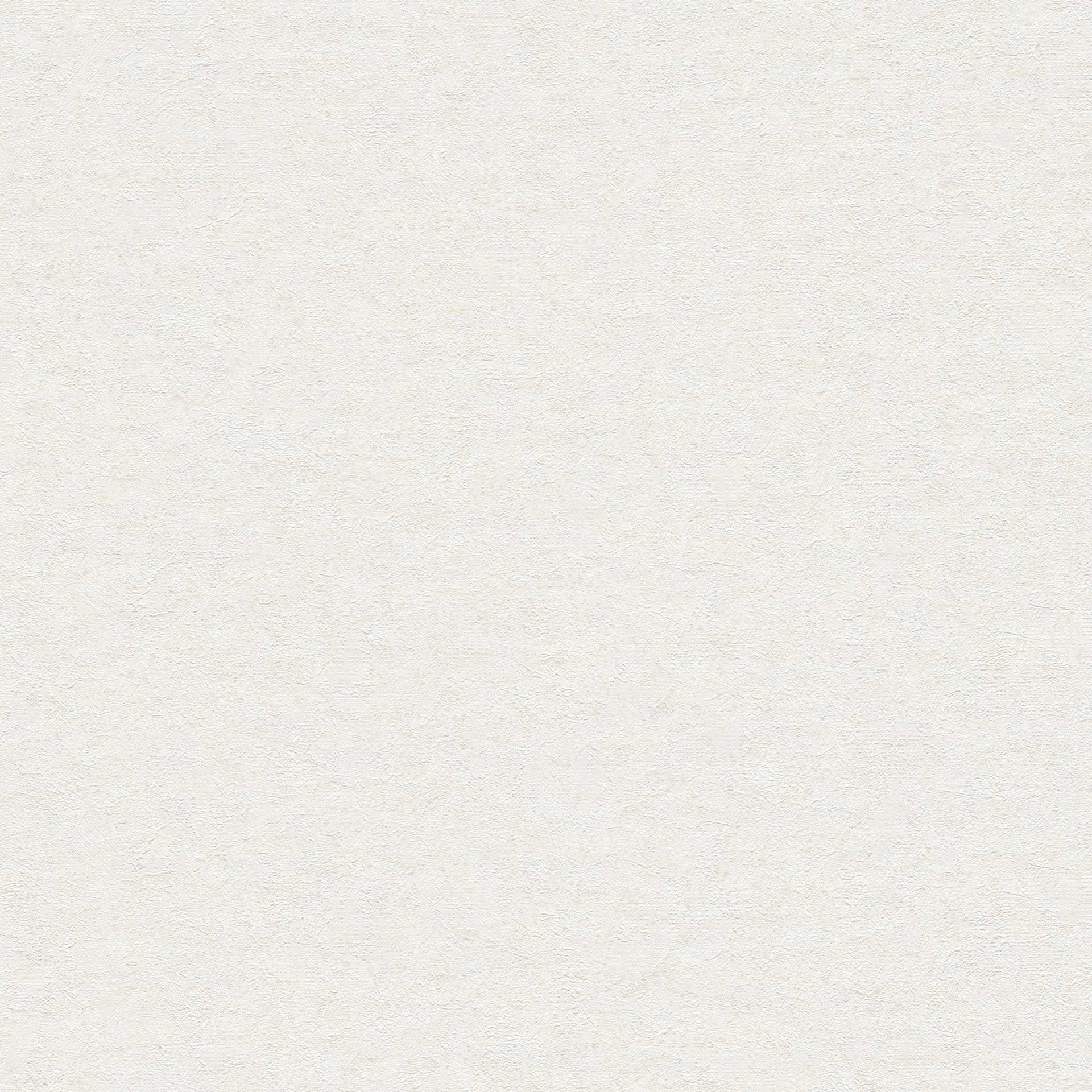 Próbki