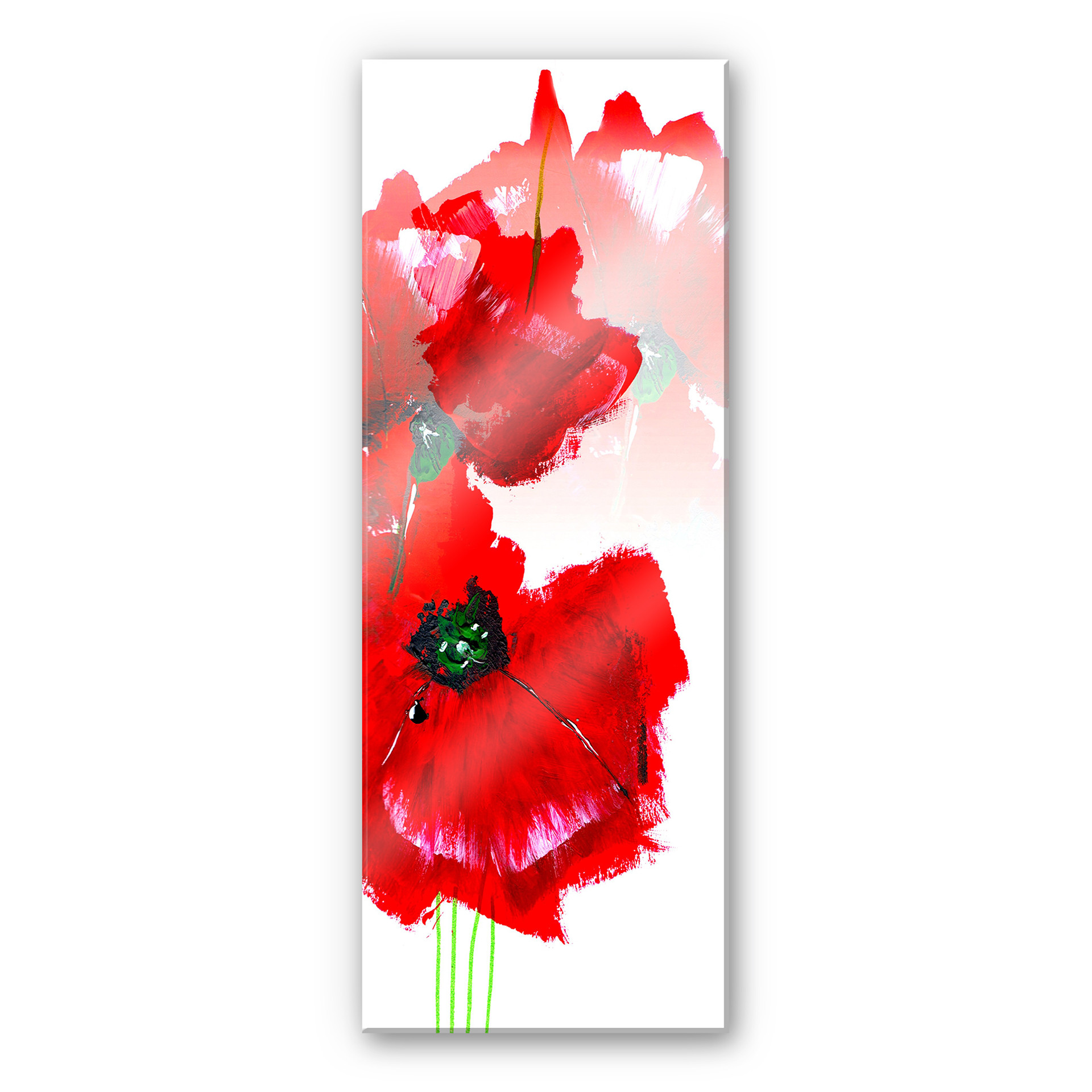 Acrylglasbild Niksic - Papaver - Panorama