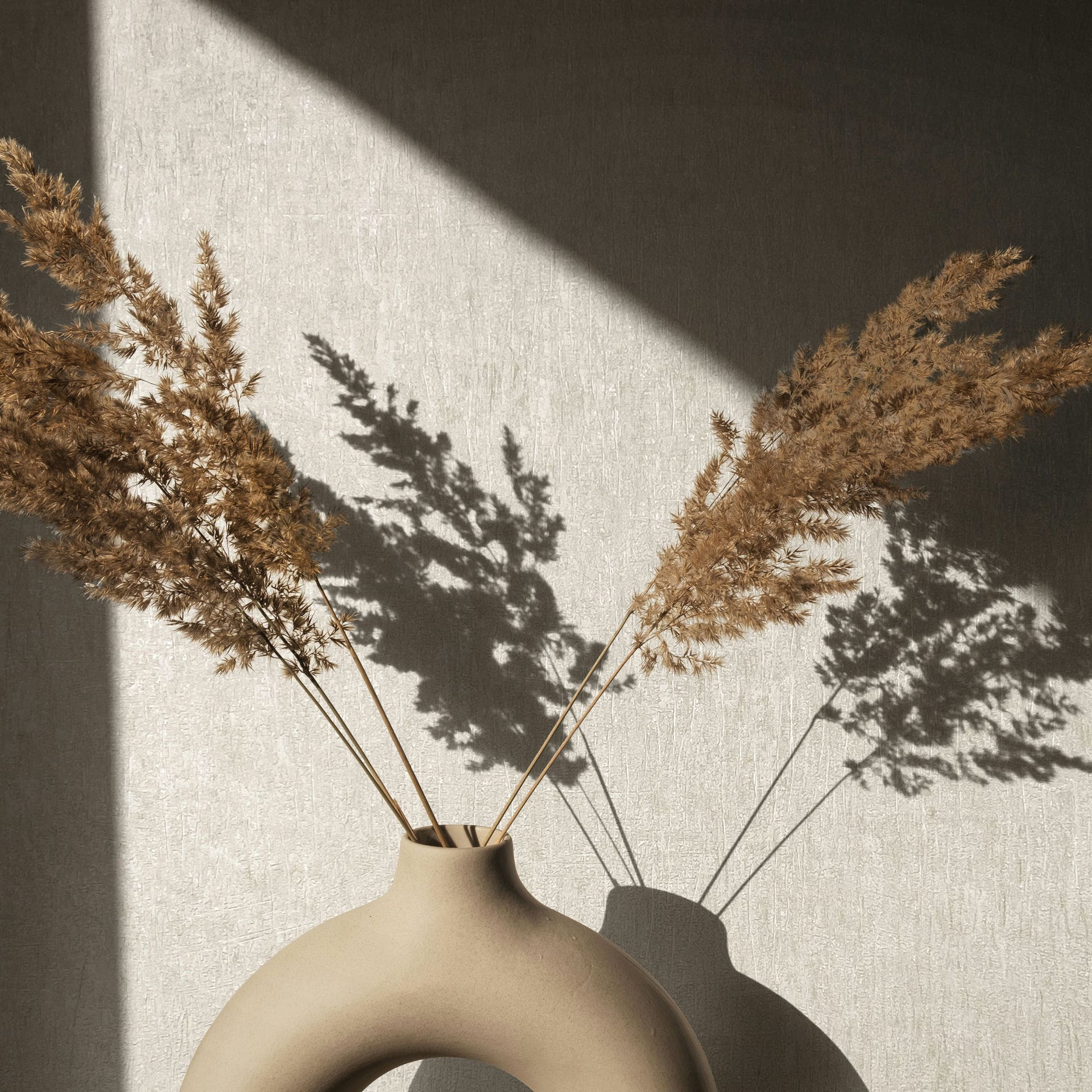 Vliesbehang in beige betonlook effen modern