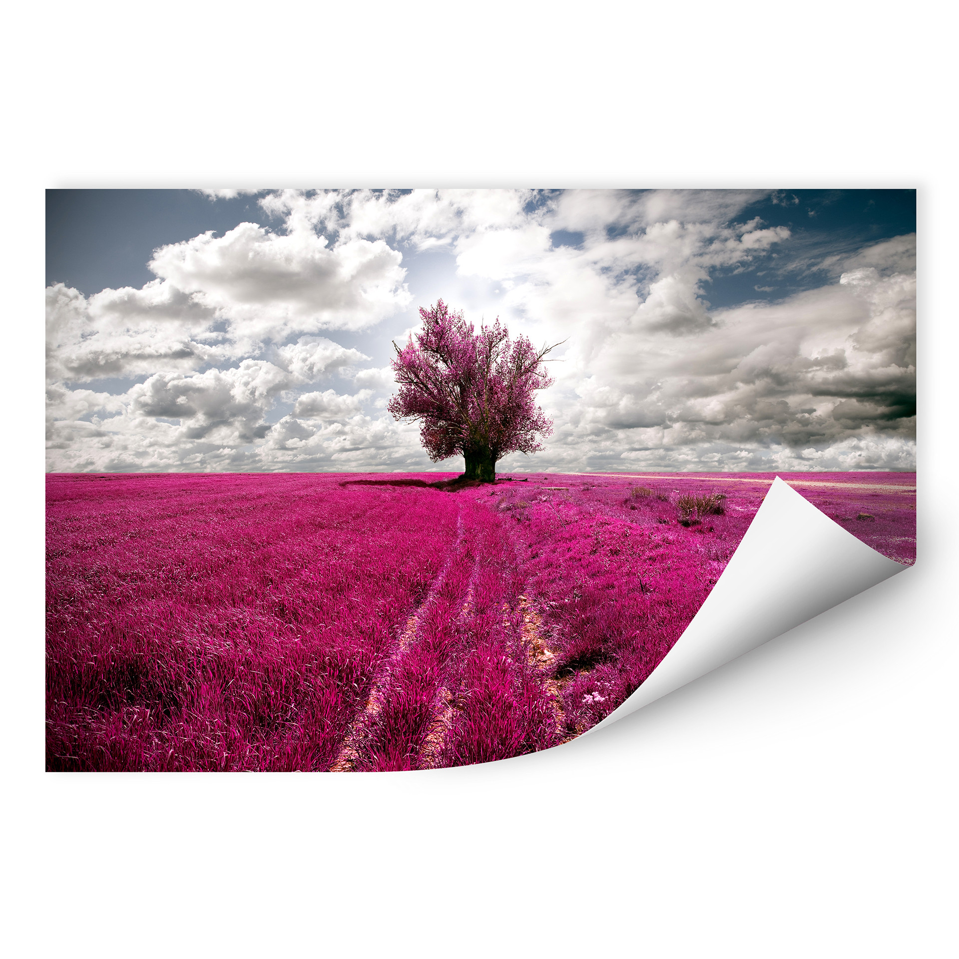 Wallprint W - The Lonely Tree