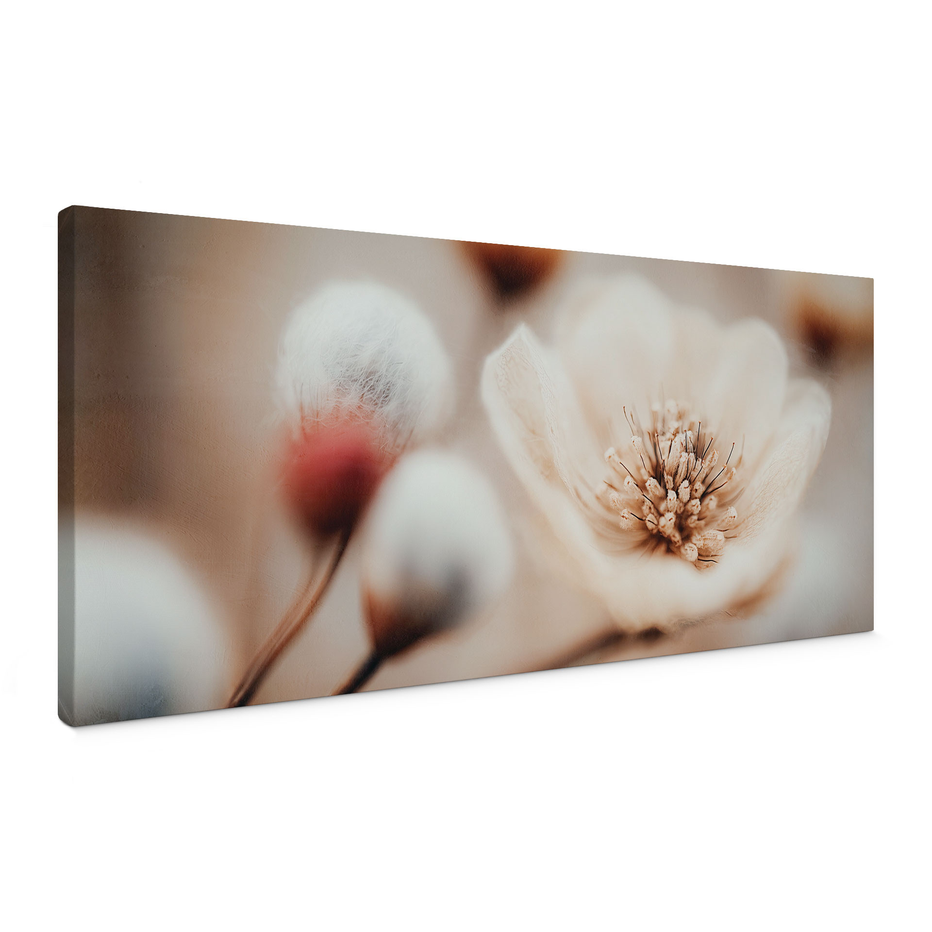 Kwiatowy obraz na płótnie Boho Blossom Soft Beige - Treechild - Panorama