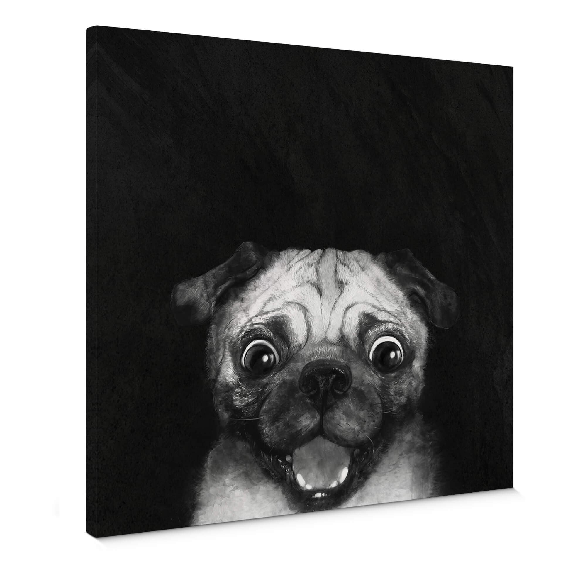 Obraz na płótnie Graves - Snuggle Pug