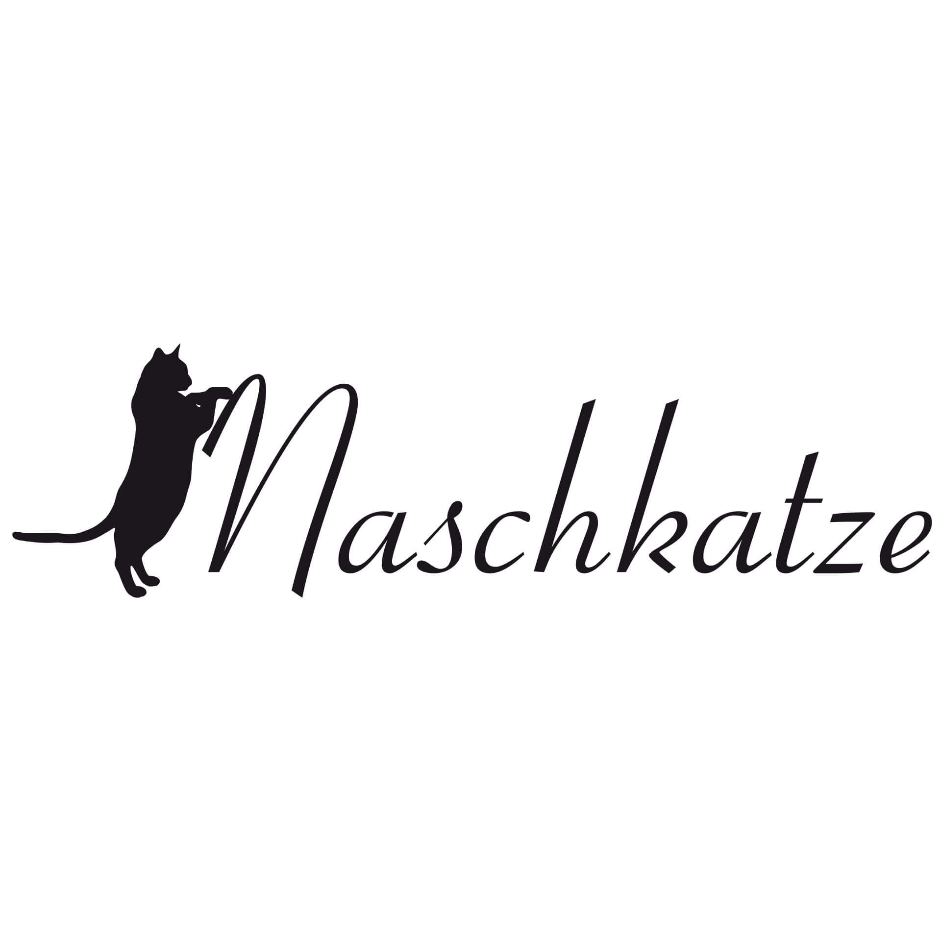 Wandtattoo Naschkatze