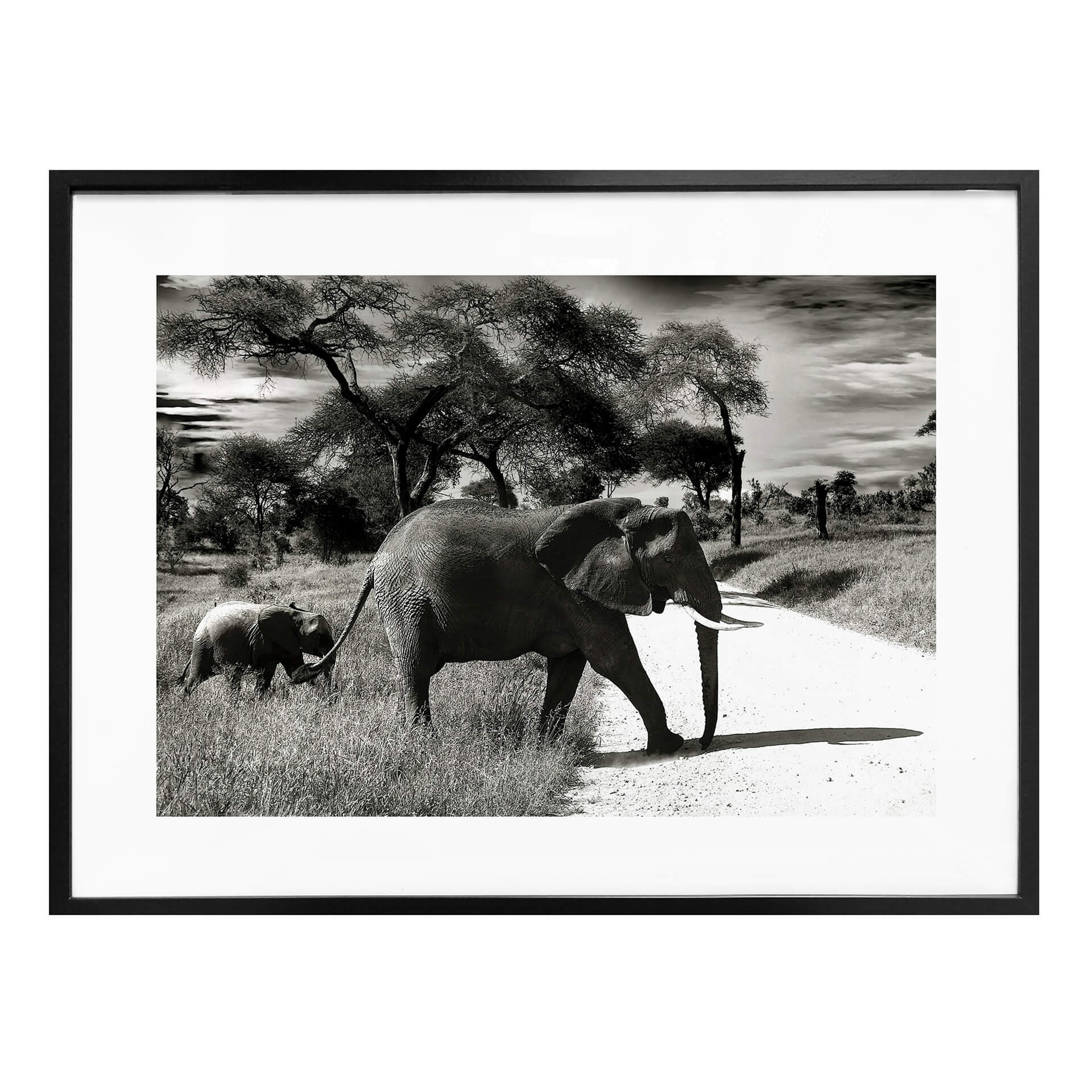 Poster Der Elefant und sein Kind