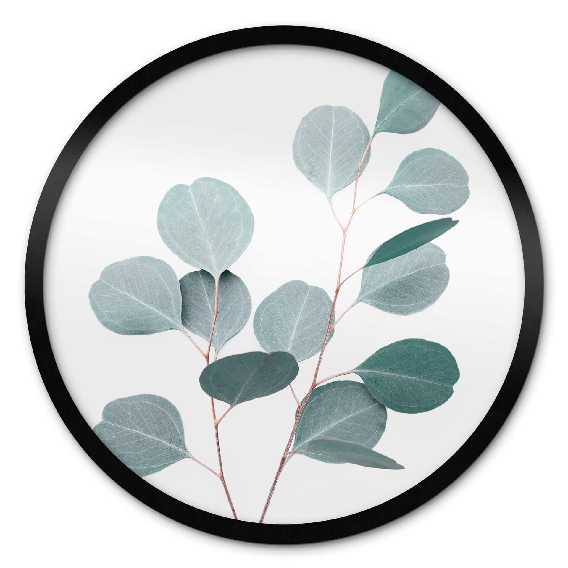 Poster Sisi & Seb - Eucalyptus bleu