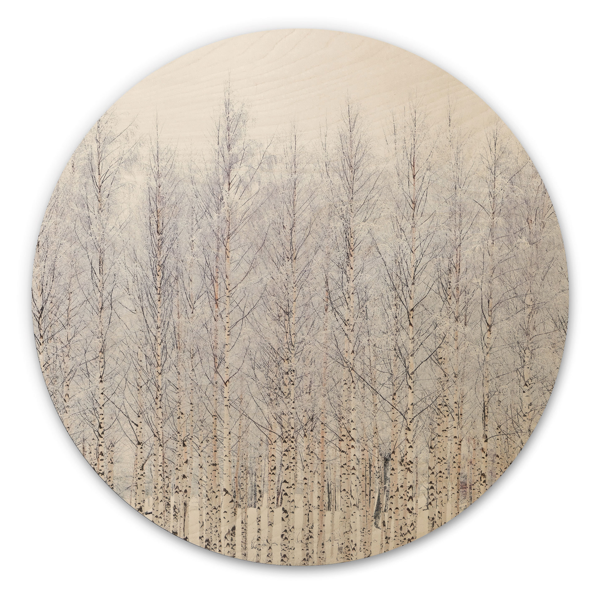 Stampa su legno di una foresta di betulle in inverno - EMELIEmaria - Round
