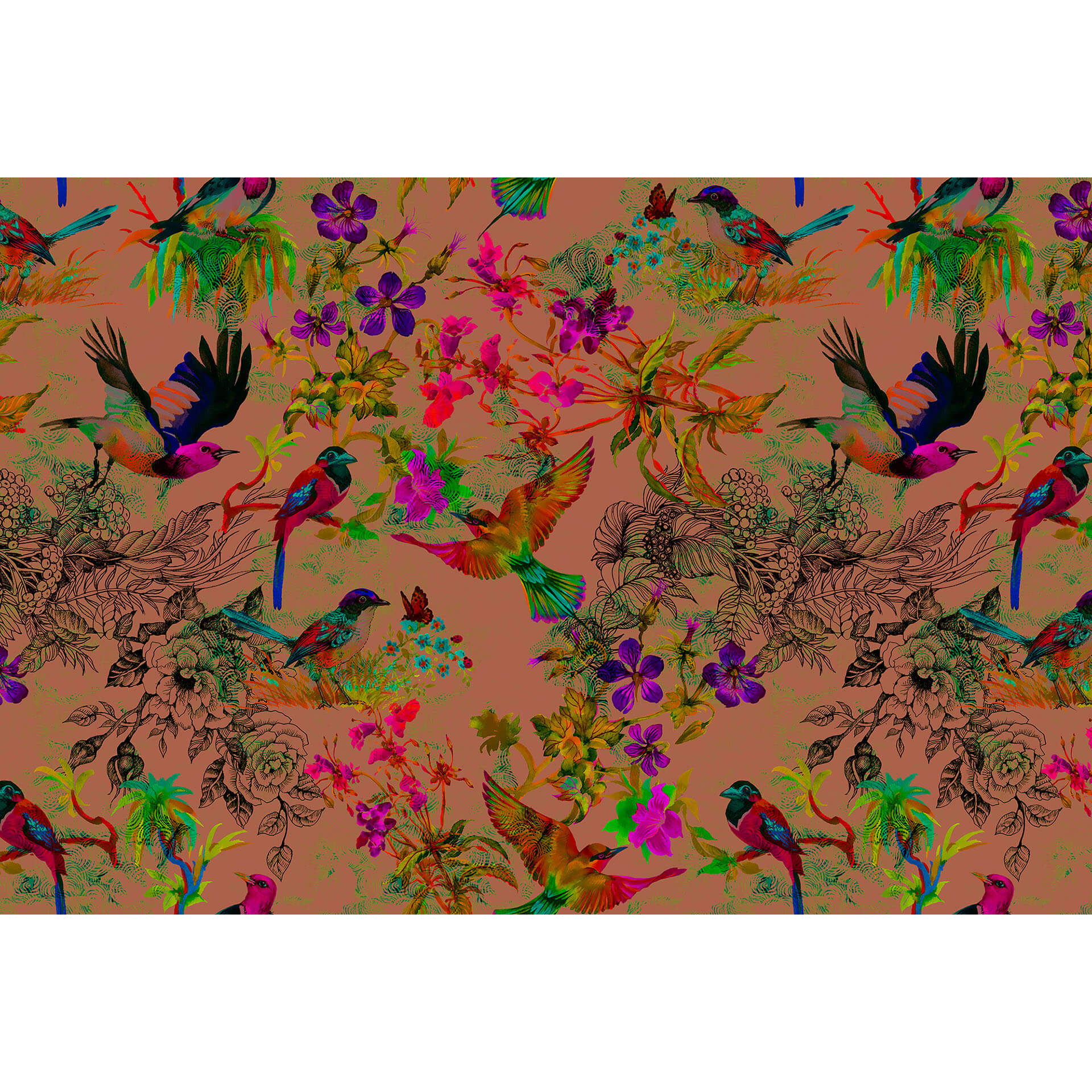 Livingwalls Fotobehang Walls by Patel funky birds 3