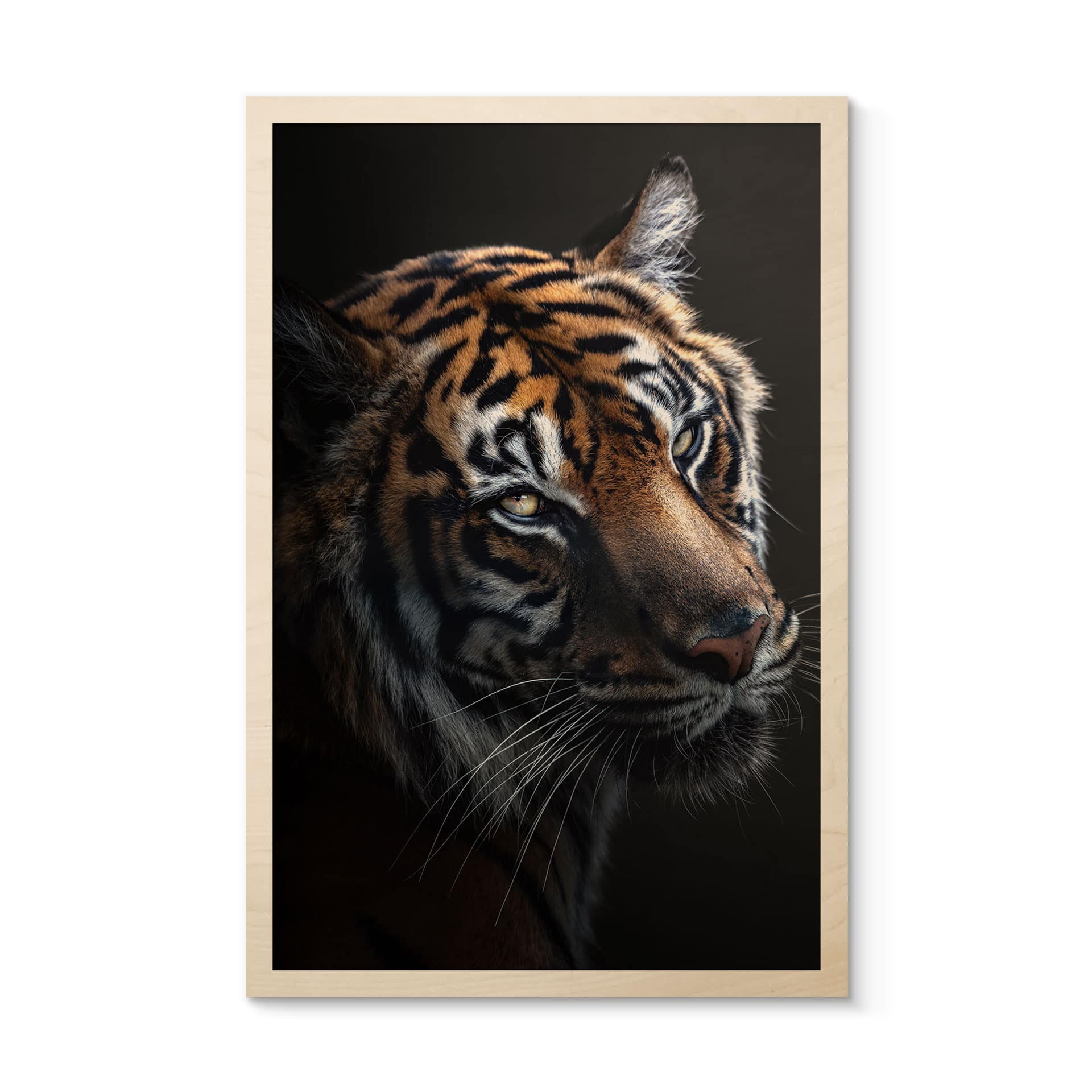 Stampa su legno Sguardo Maestoso della Tigre - Krygowski