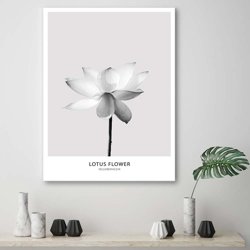 Canvasbillede, Hvid lotusblomst