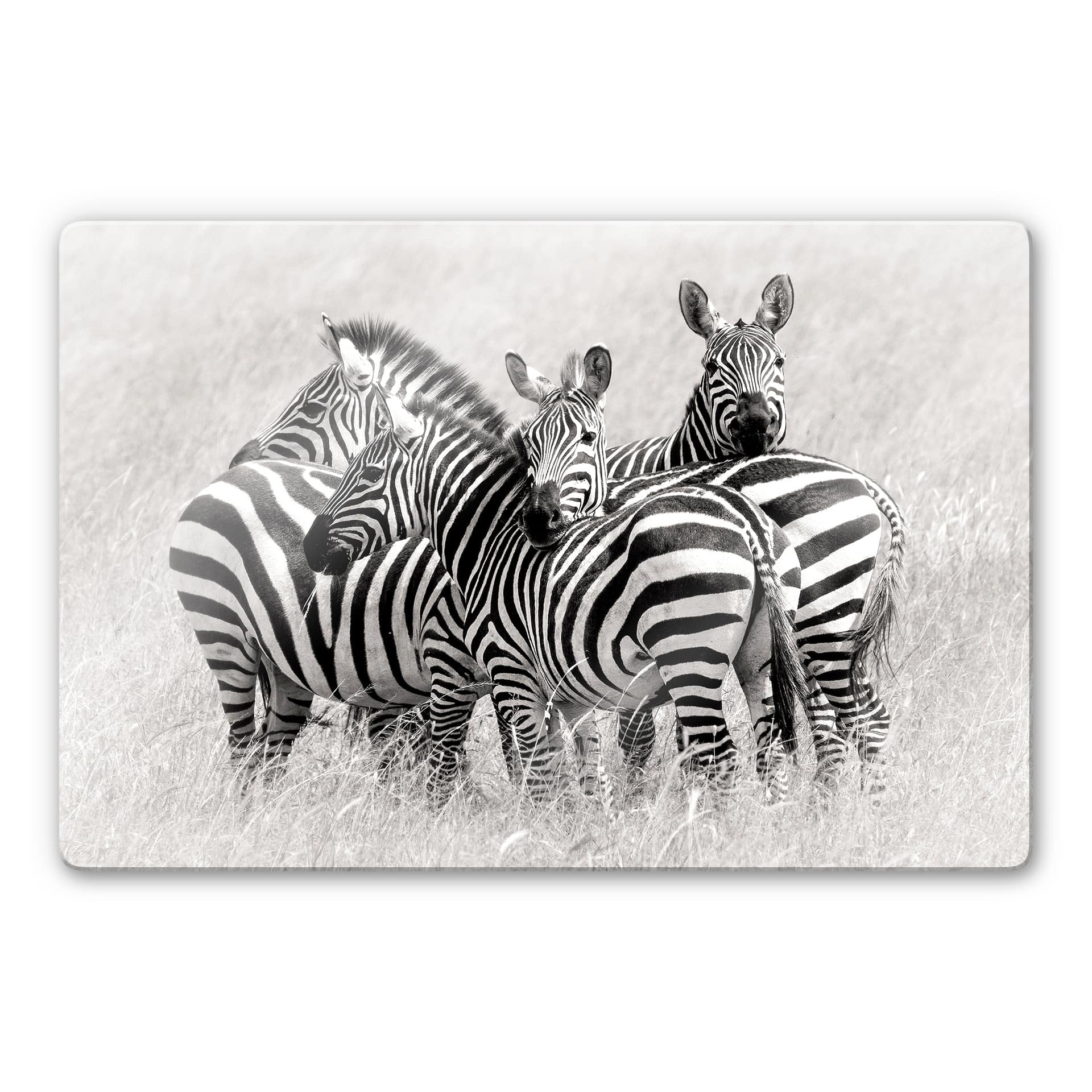 Tableau en verre - Trubitsyn - Zèbres dans la savane