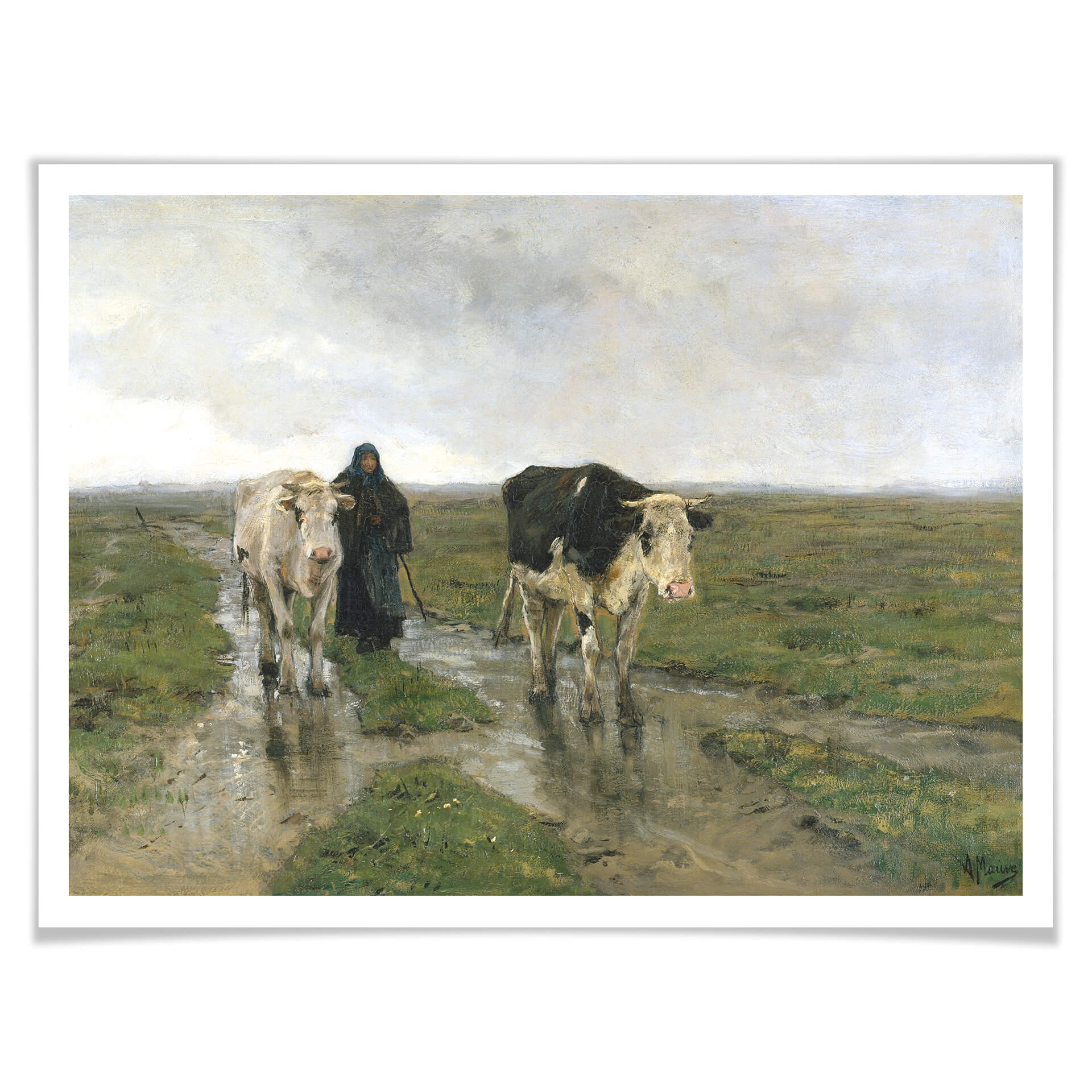 Poster Mauve - Changement de pâturage