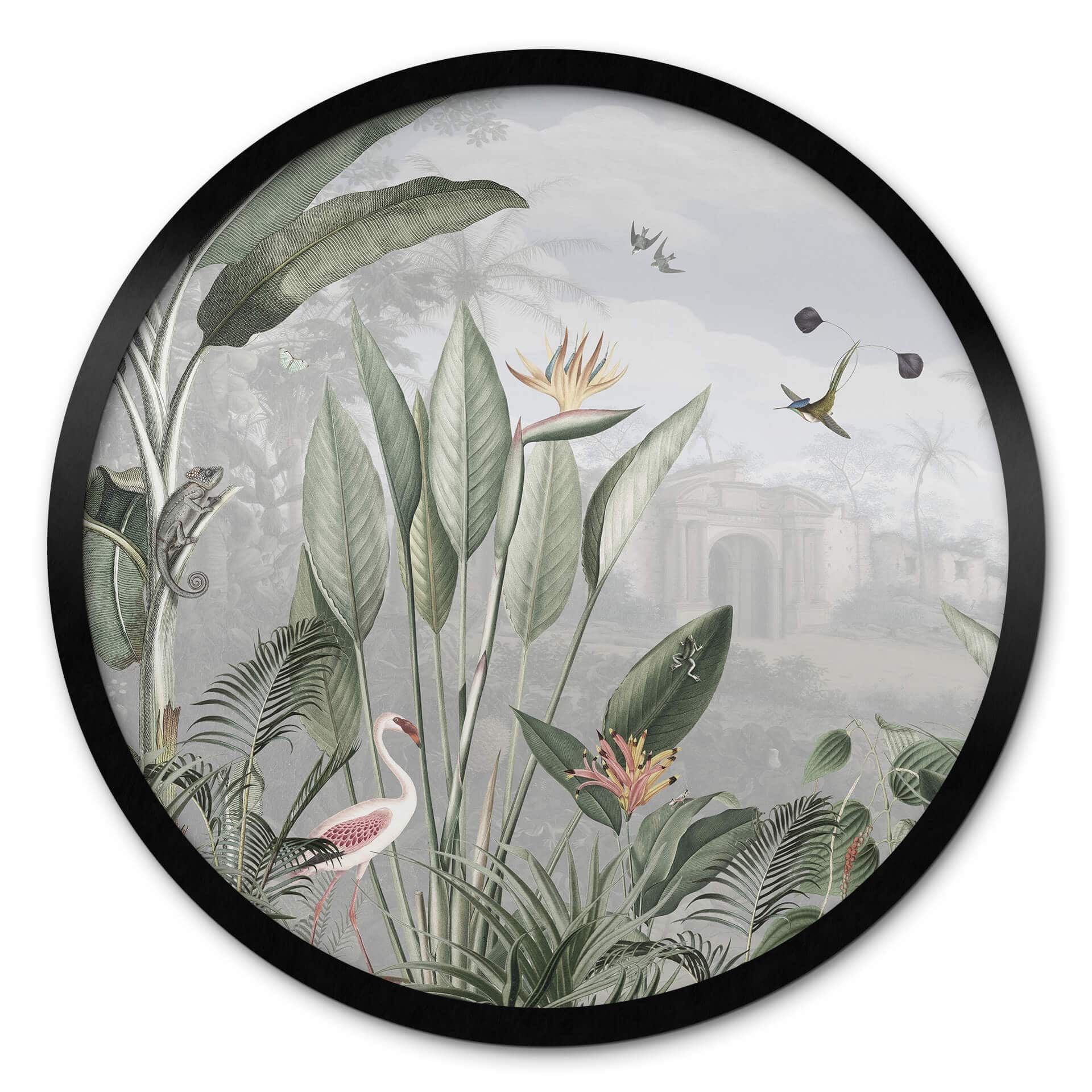 Poster rond Sir Edward - Botanique