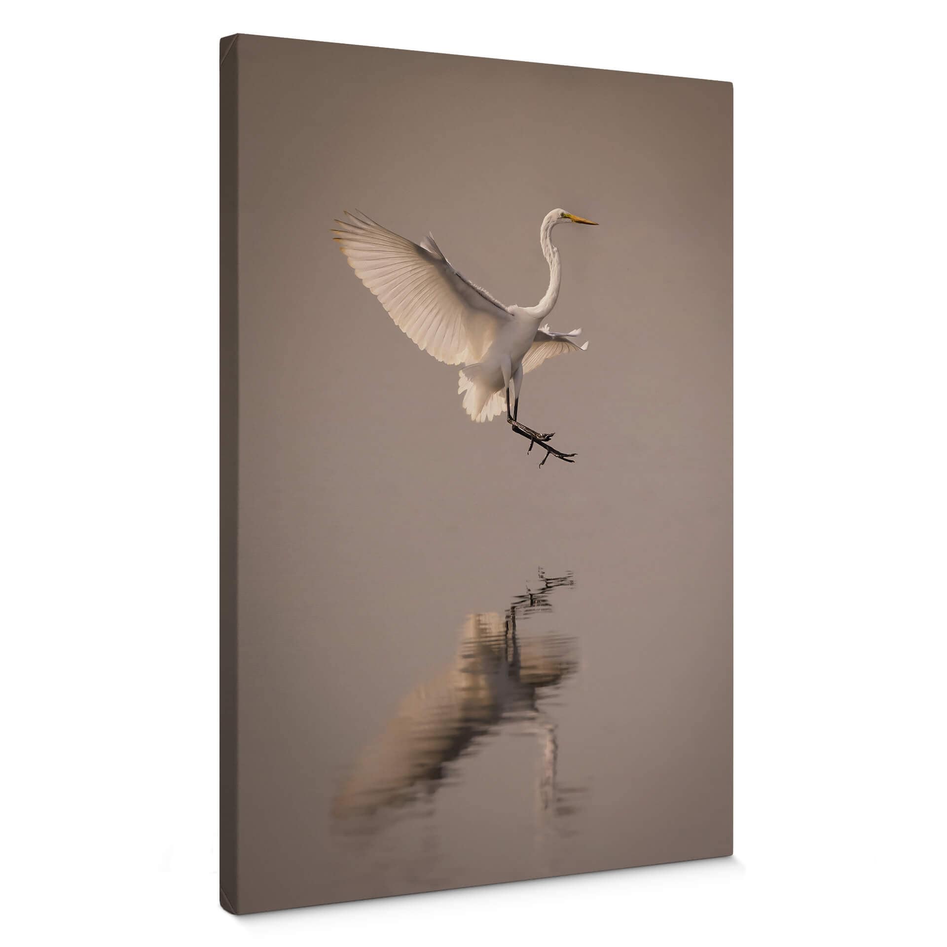 Tableau sur toile Lai - oiseau atterrissant sur l'eau