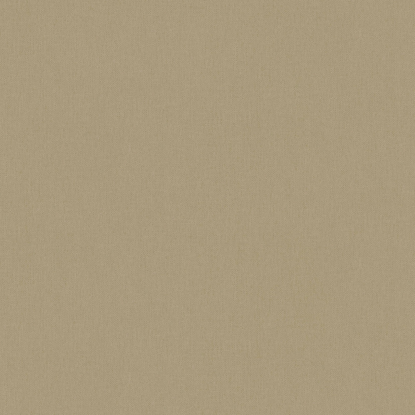 Architects Paper Floral Impression - Papier peint intissé uni, brun