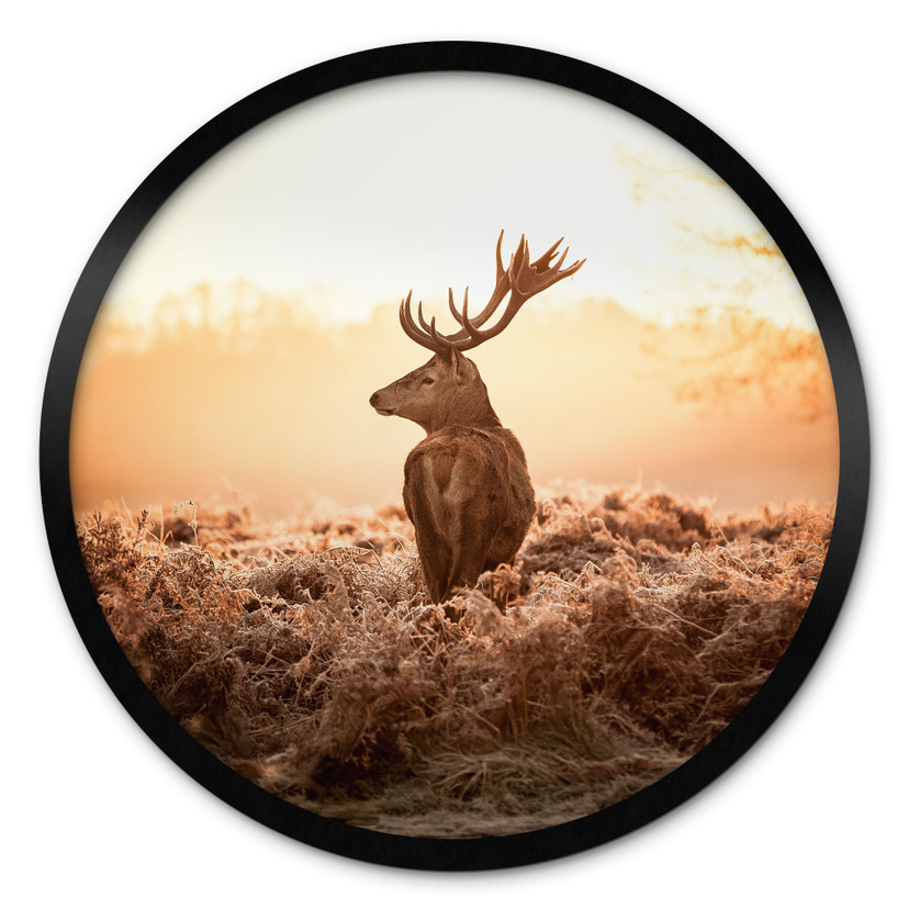 Plakat Majestic Stag - okrągły
