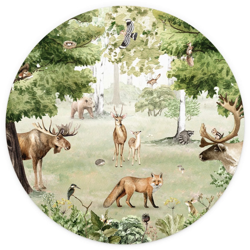 Kikki Belle - Leśny cud - Fototapeta okrągła - tapeta flizelinowa/tapeta flizelinowa samoprzylepna