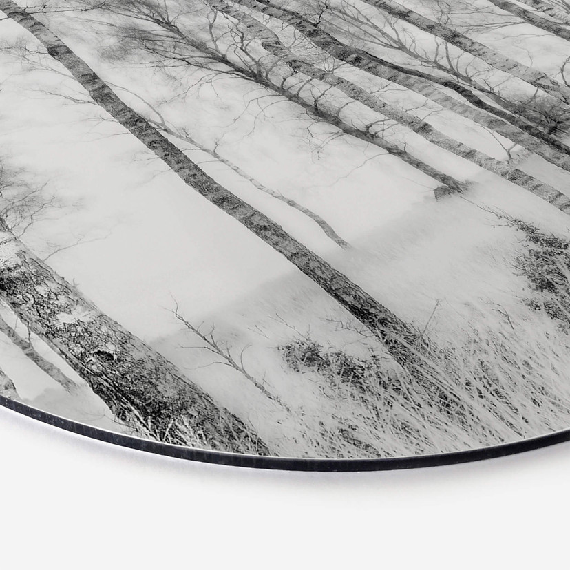 Tableau sur alu-Dibond Talen - Forêt de bouleaux noirs et blancs