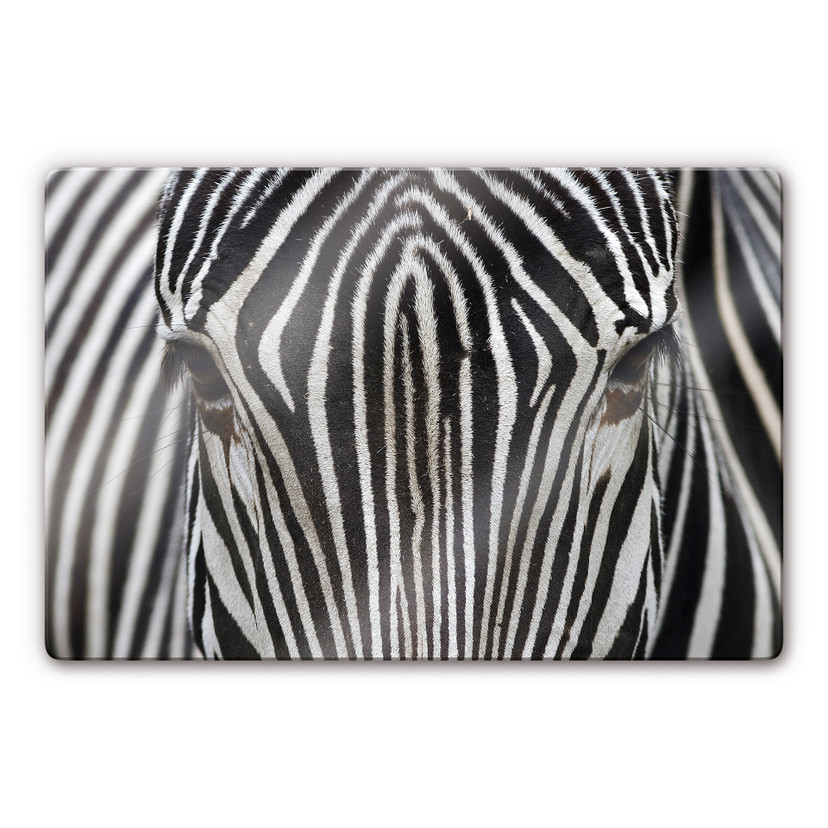 Glasbillede - Zebra