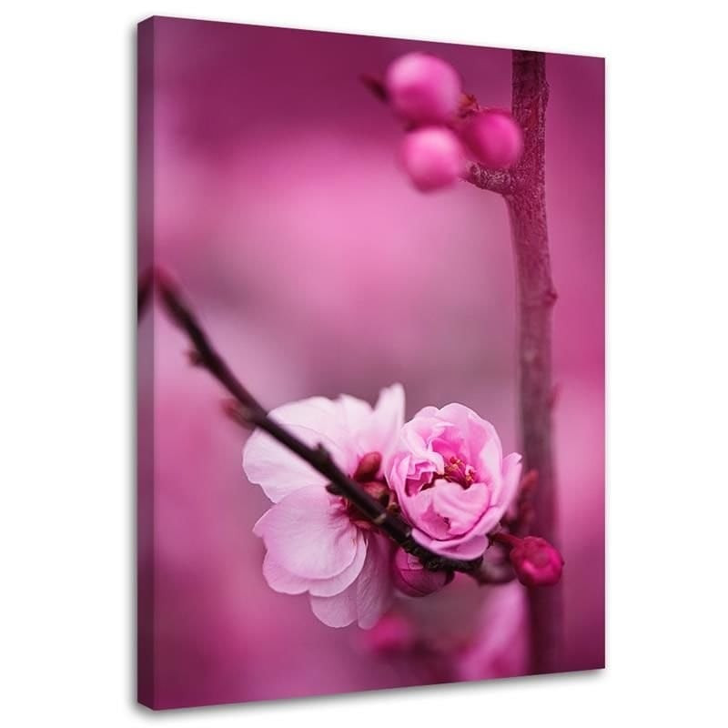 Canvasbillede, Lyserøde blomstrende planter
