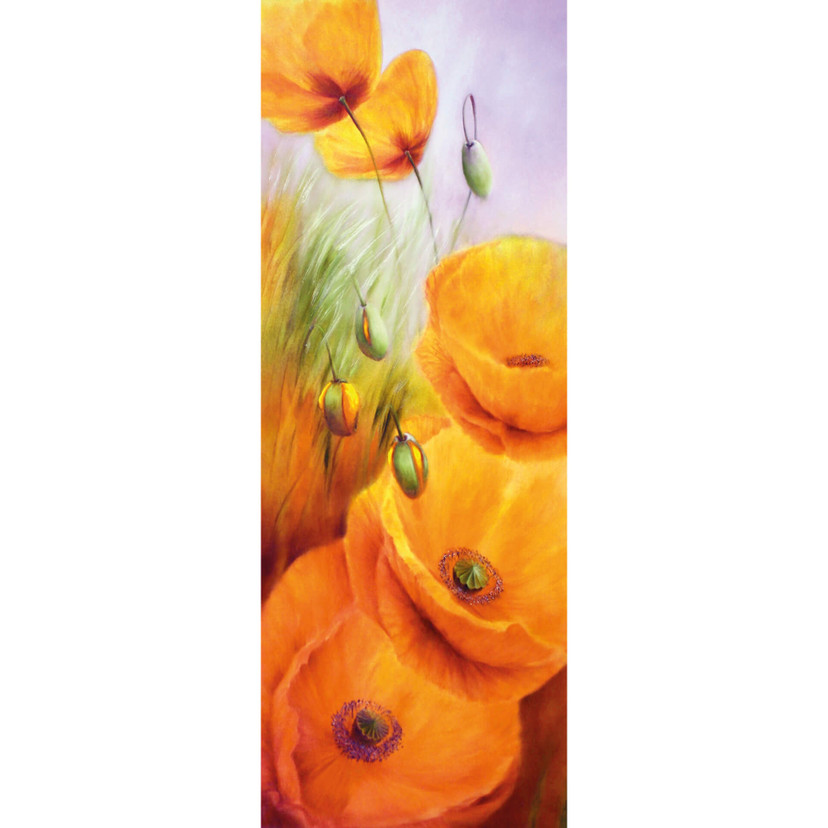 Papier peint photo Schmucker - Coquelicots dans les champs - 96x260 cm