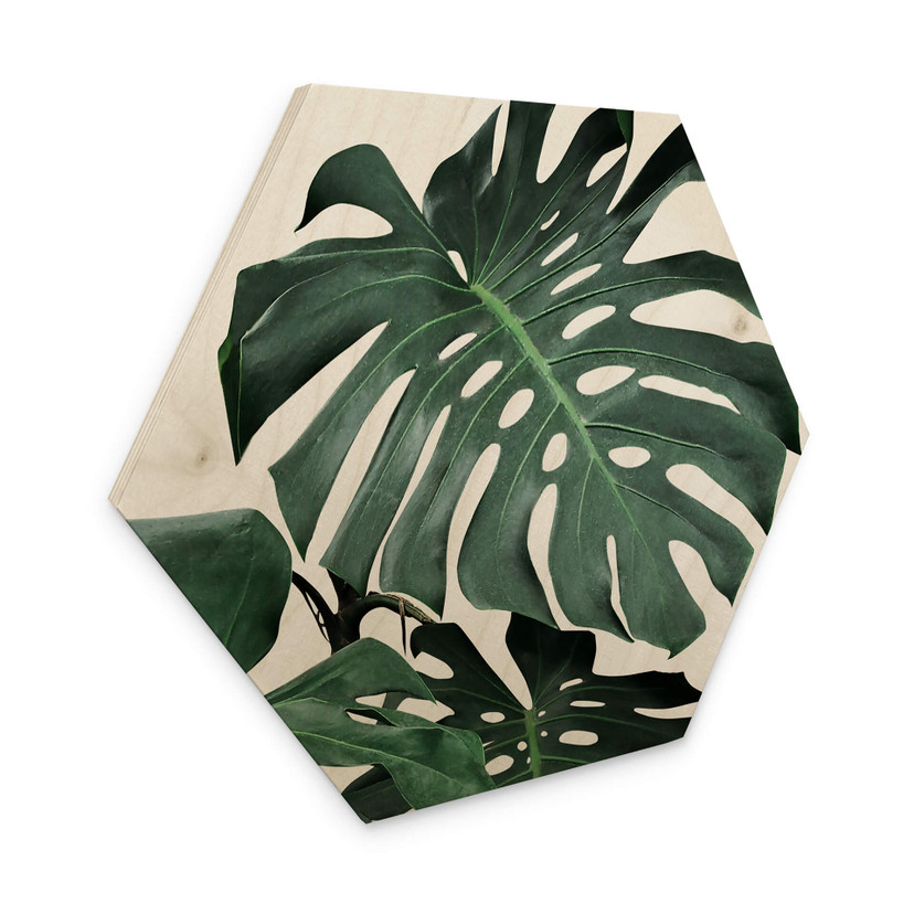 Hexagon Hout Sisi & Seb - Monstera