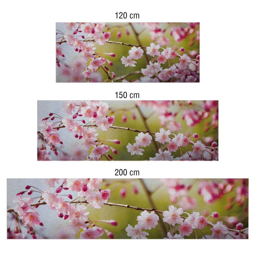 Küchenrückwand - Alu-Dibond-Silber - Cherry Blossoms