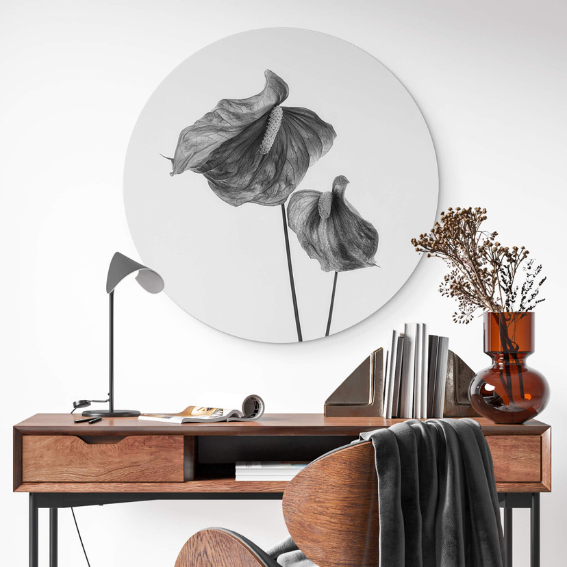 Tableau sur alu-Dibond rond Grønkjær - Anthurium noir et blanc