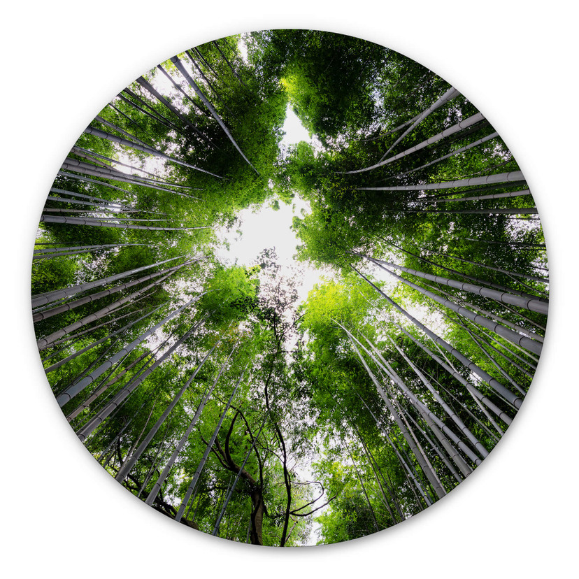 Wandcirkel Japanese Forest