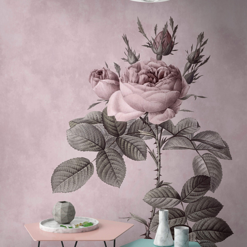 Fototapeta Livingwalls Walls by Patel rose 1