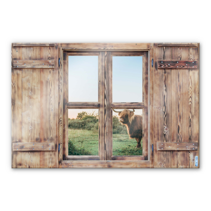 Glasschilderij Trompe L'oeil - Highland Cow 01