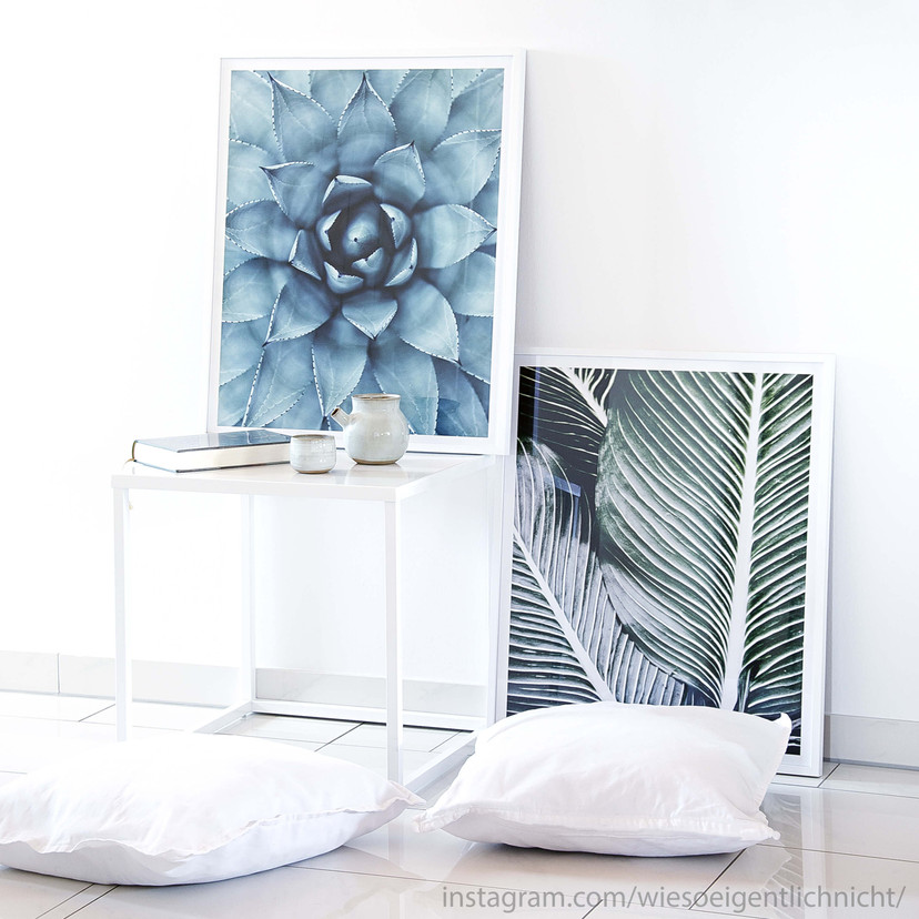 Plakat Agave 02