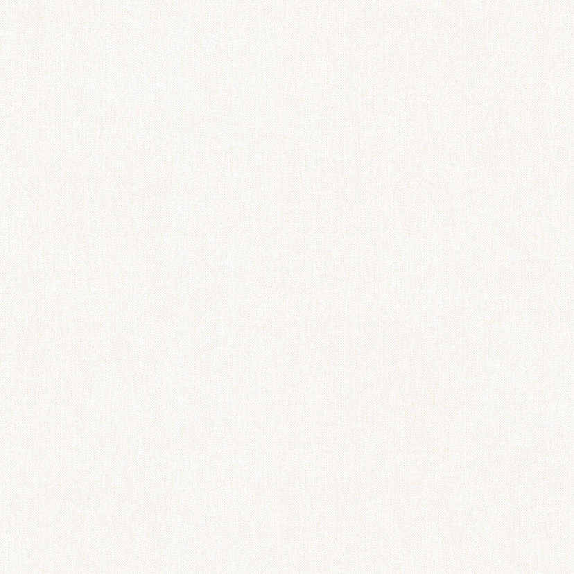 Architects Paper Floral Impression - Papier peint intissé uni, blanc