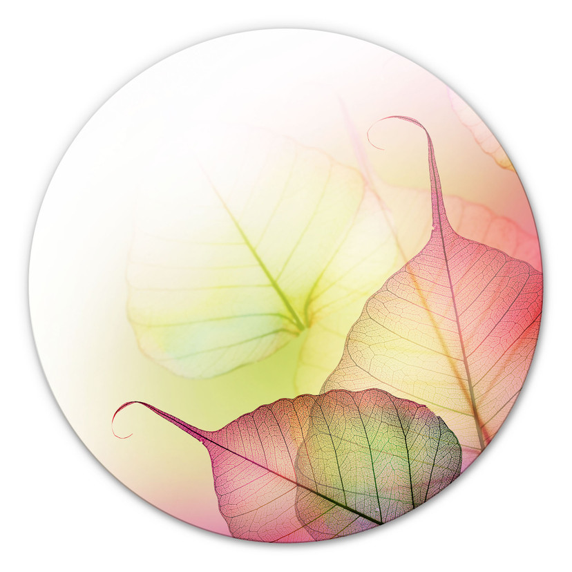 Glasbillede - Pink Design - Rund