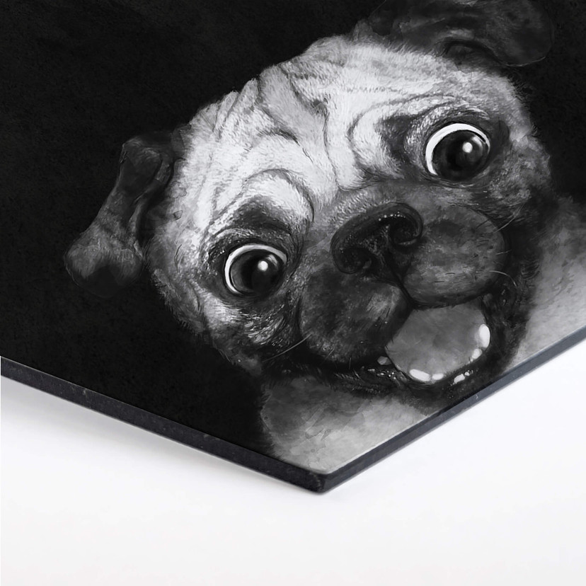 Hexagon - Alu-Dibond Graves - Snuggle Pug