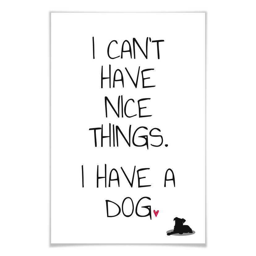 Poster - I can't have nice Things