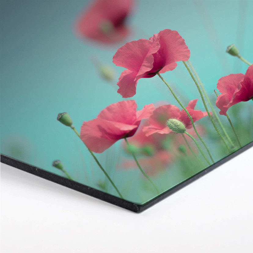 Hexagone -Alu Dibond Delgado - Pastel de coquelicots