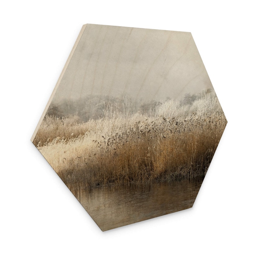 Hexagone - Bois Talen - Matin hivernal