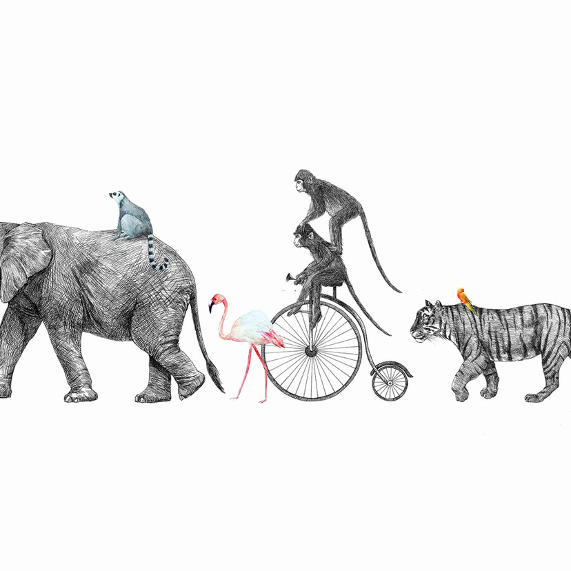 Pokój dziecięcy Tapeta AnimalQueue w kolorze biało-szarym - Fototapeta z włókniny Designwalls 2 - 2,