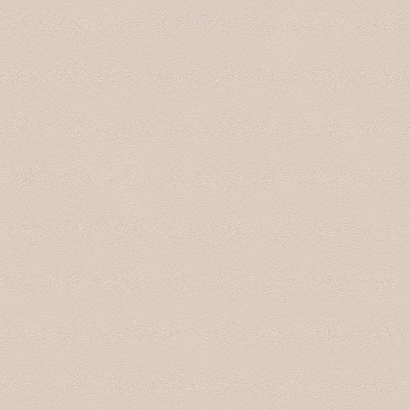 A.S. Création ikke-vævet tapet il Decoro tapet Uni - Beige