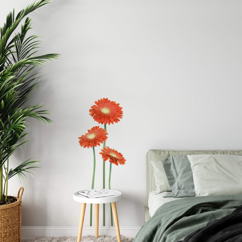 Sticker mural - Gerberas Oranges