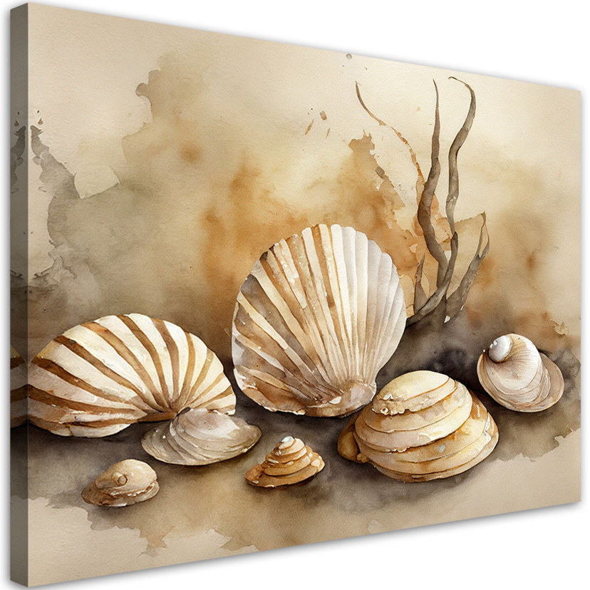 Canvasbillede, havskaller akryl