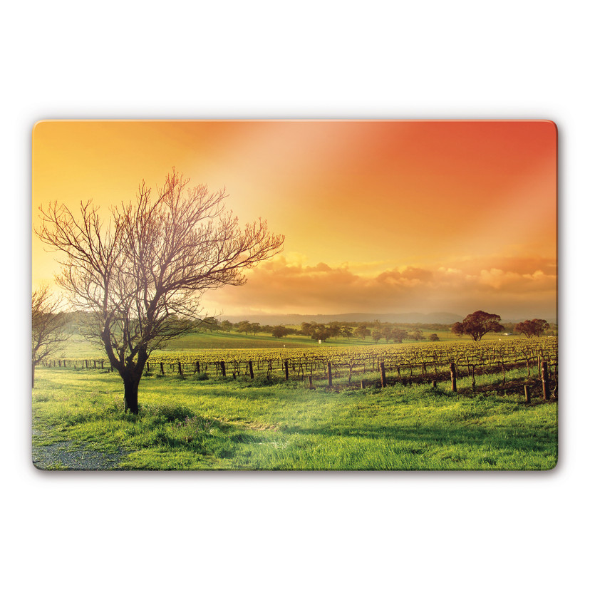 Tableau en verre - Vignobles