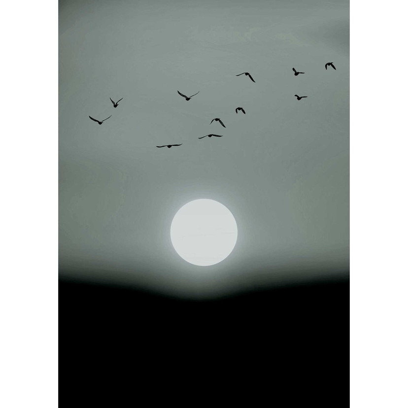Livingwalls papier peint photo ARTist Winter Lights Winter
