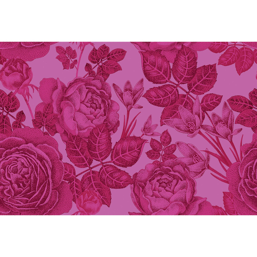 Fotomural Paredes de Patel baccara 1