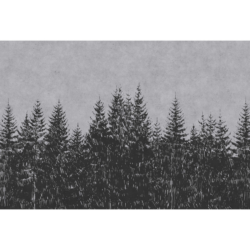 Fototapeta Livingwalls Walls by Patel czarny las 3