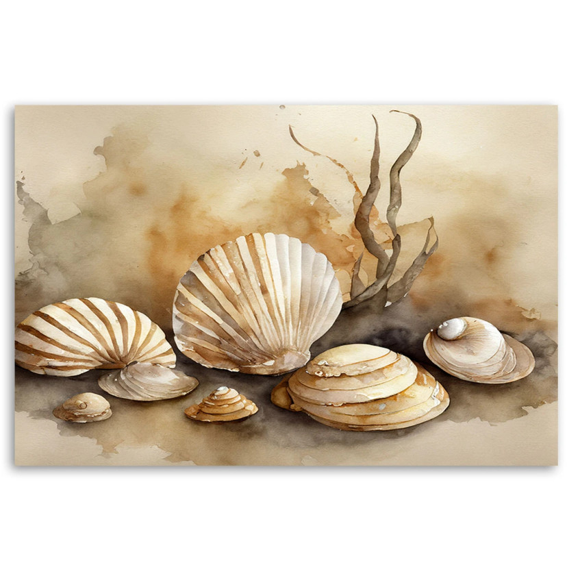Leinwandbild Meeresmuscheln Acryl