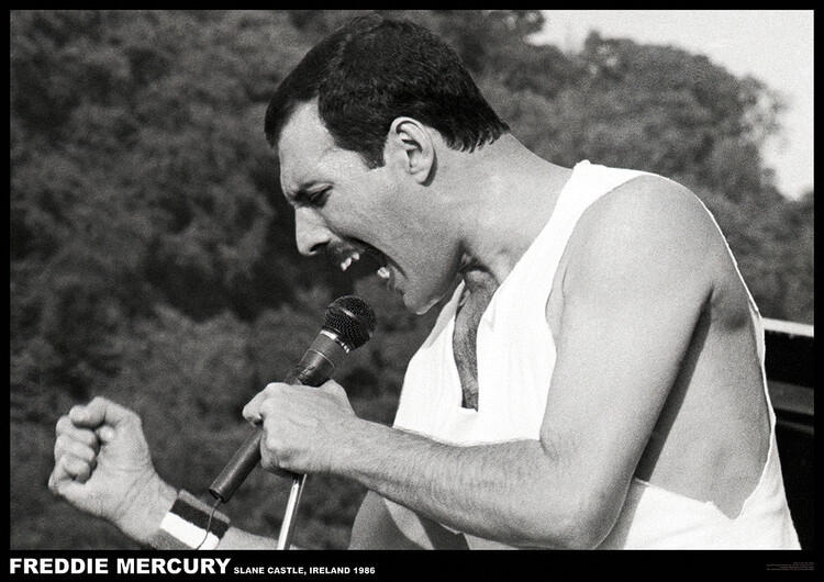 Poster Freddie Mercury - Slane castle, Ireland 1996, Plakat (84,1 x 59,4 cm)
