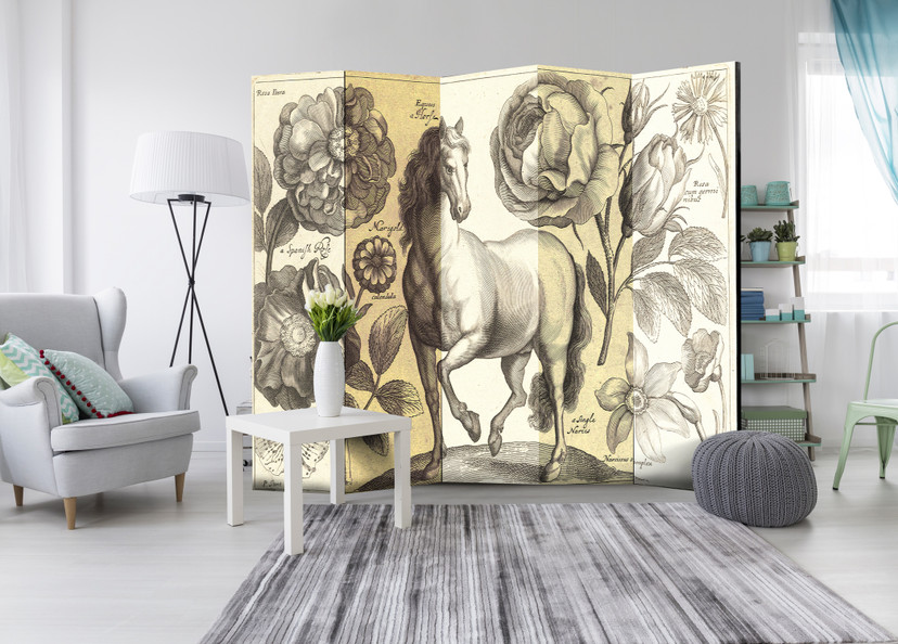 Screen room divider - Hest, 5-delt - 225x172 cm
