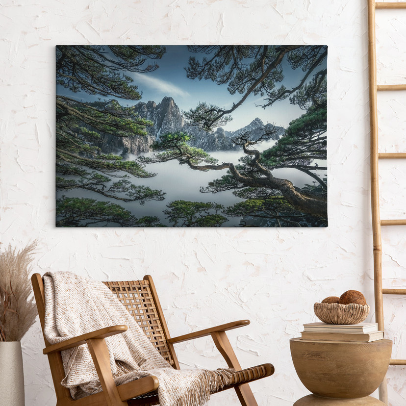 Obraz na płótnie Las sosnowy w górach Huang Shan - NingYun Ye